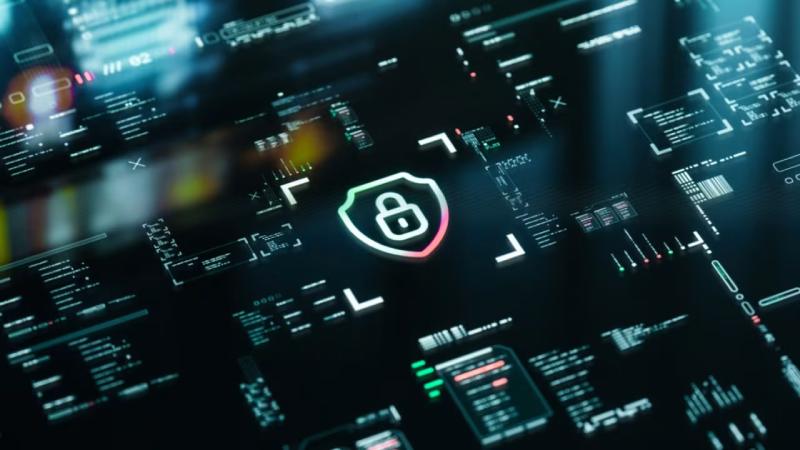 和布克赛尔软件开发公司